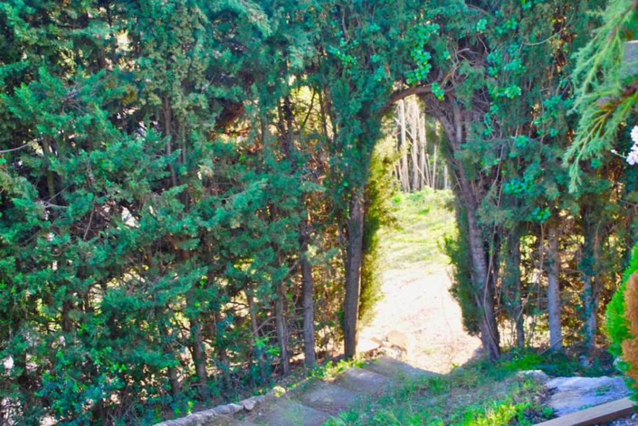 Mas Rosich Bed & Breakfast Alcover Bagian luar foto